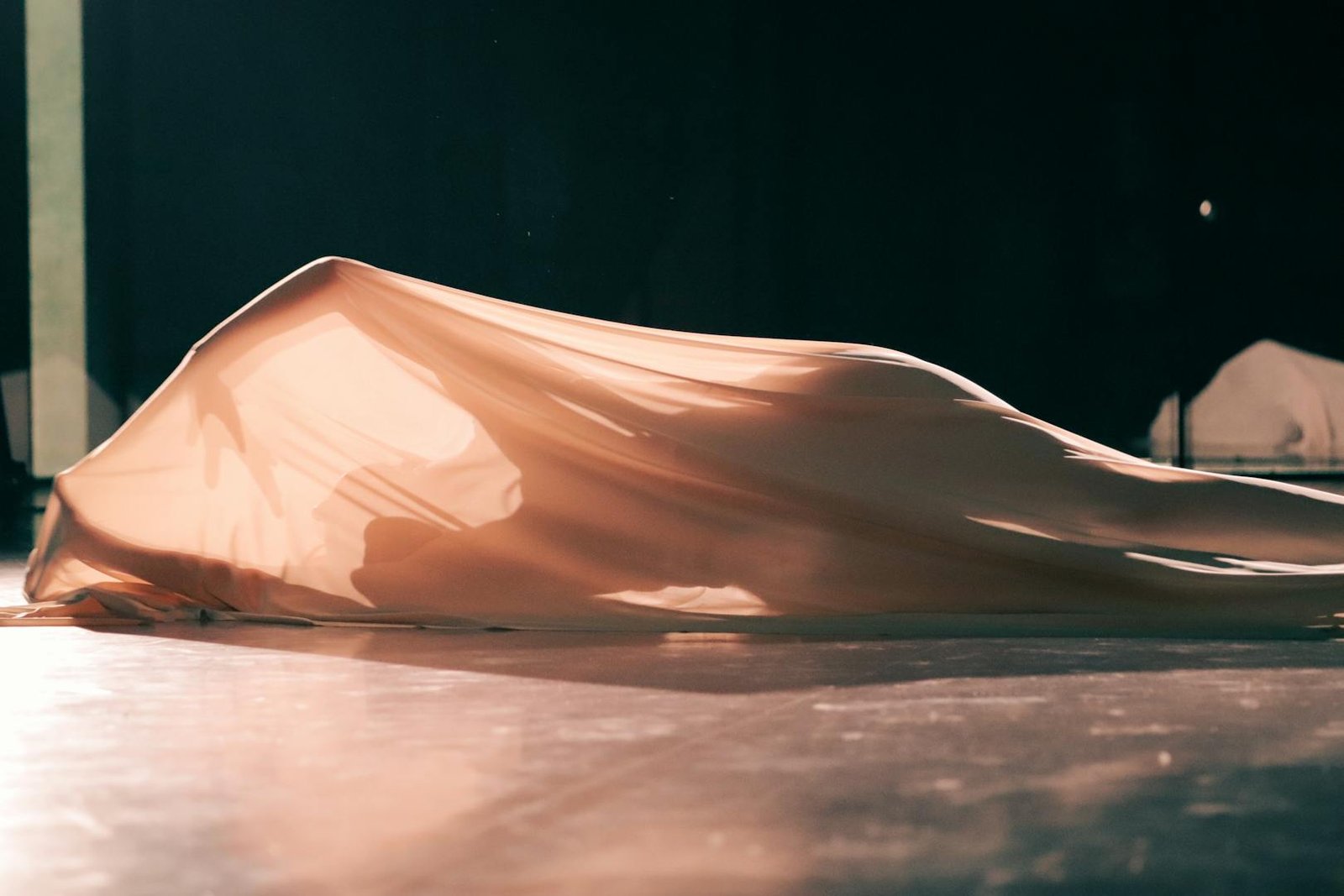 Tłuste Butoh – spektakle: „Da capo al fine” i „COSMO”