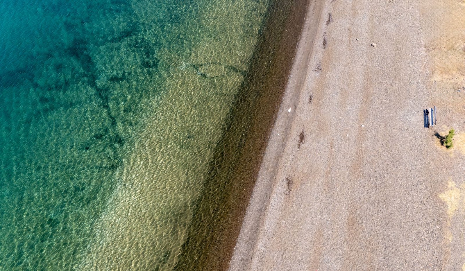 Plaża Wolności 2026