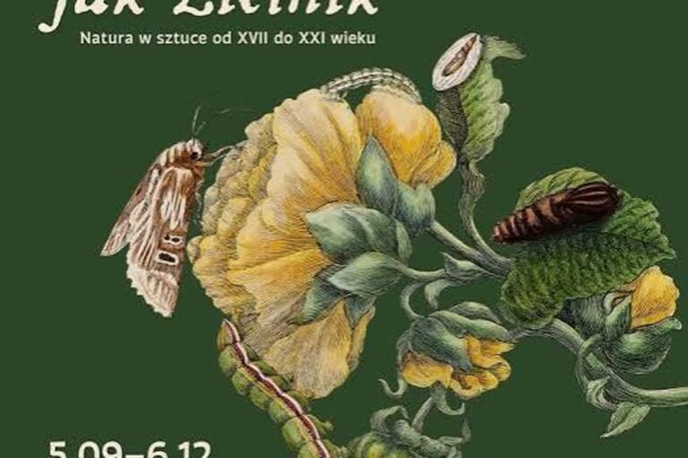 Świat jak zielnik. Natura w sztuce od XVII do XXI wieku - wystawa