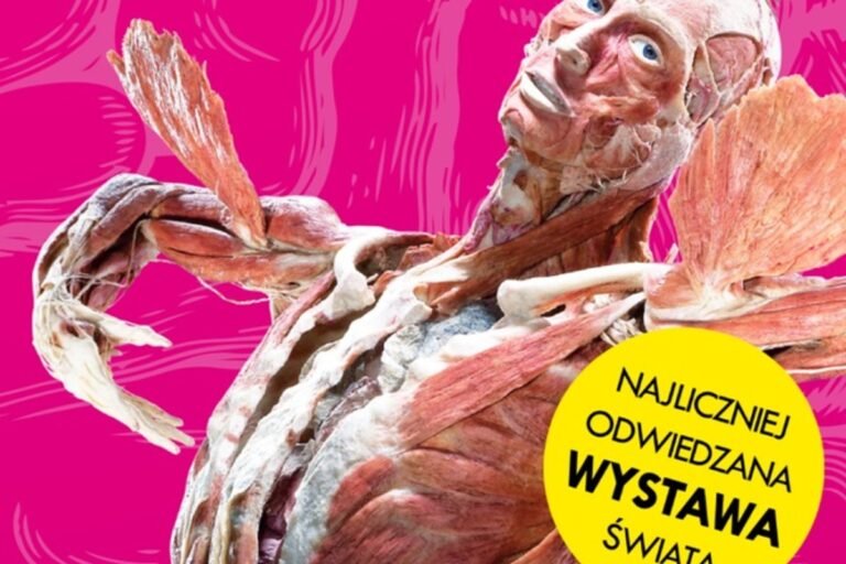 Wystawa Body Worlds - Vital