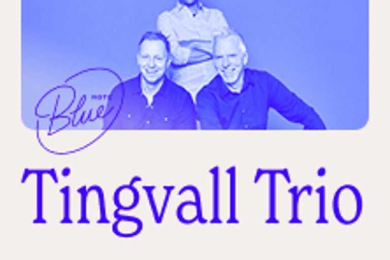 Koncert zespołu Tingvall Trio