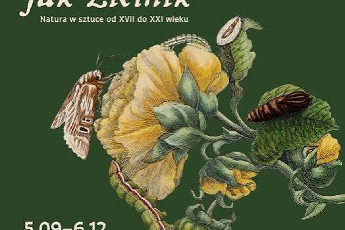 Spotkanie ze sztuką: Cudowne metamorfozy Marii Sybilli Merian