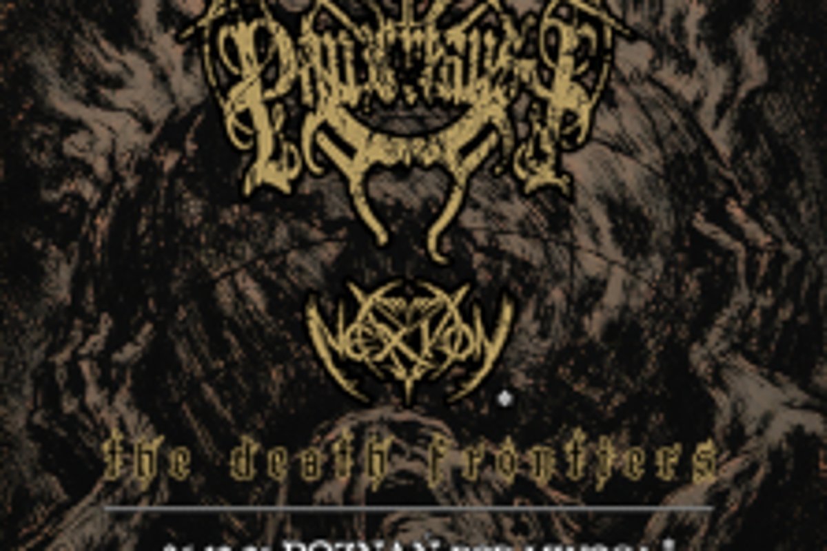 Koncert zespołu Panzerfaust + Nexion