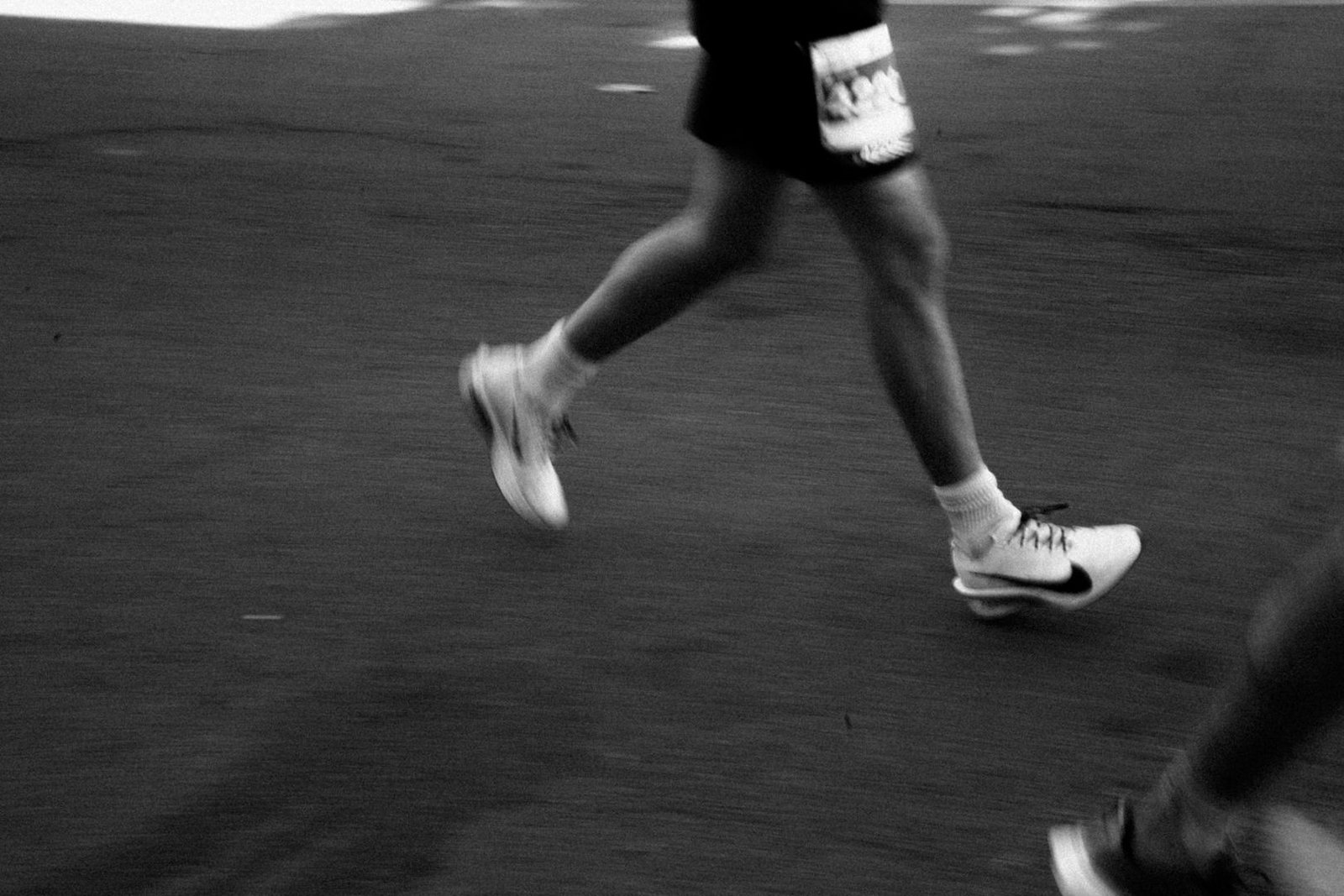 LOTTO 25. Poznań Maraton im. Macieja Frankiewicza