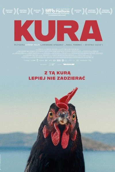 Filmowy Klub Seniora: KURA