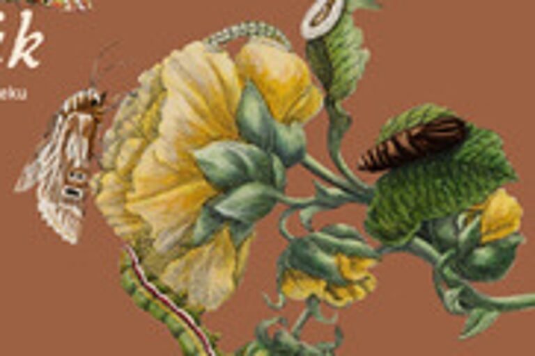 Spotkanie ze sztuką: Martwa natura. "Kwiaty w wazonie" Henryki Beyer