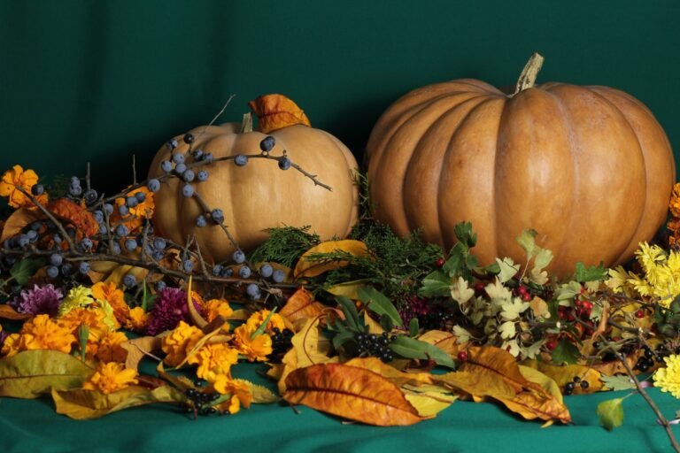 Pumpkin Season – warsztaty florystyczne: jesienna kompozycja w dyni